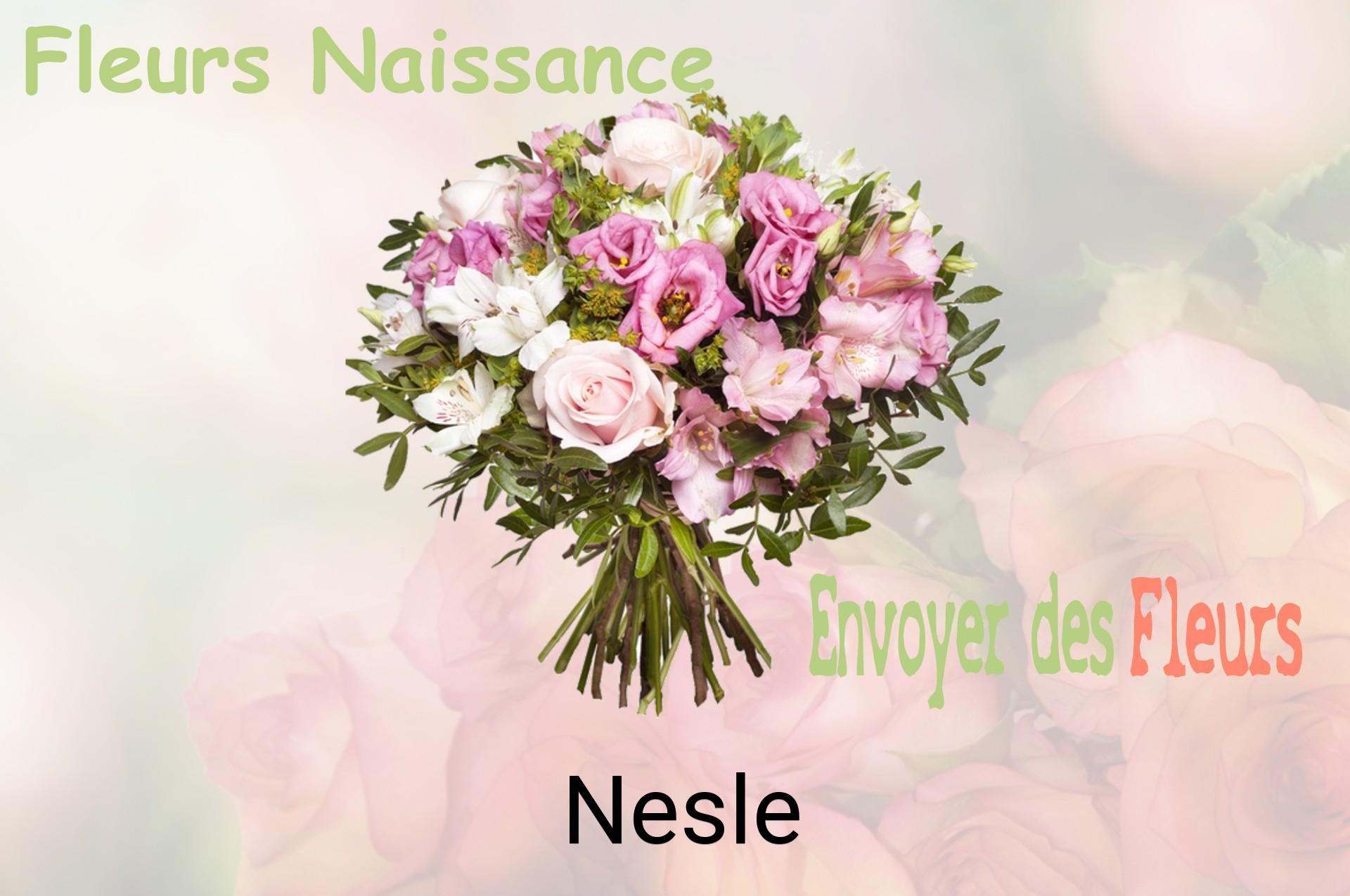 Bouquet de fleurs de naissance livré à Nesle
