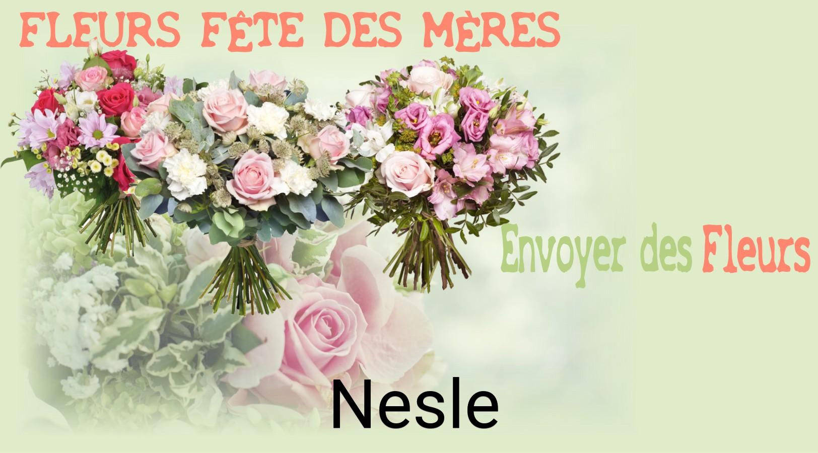 Bouquet de Fête des Mères livré à Nesle